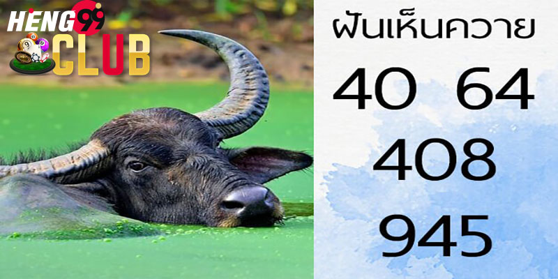 ฝันเห็นควาย