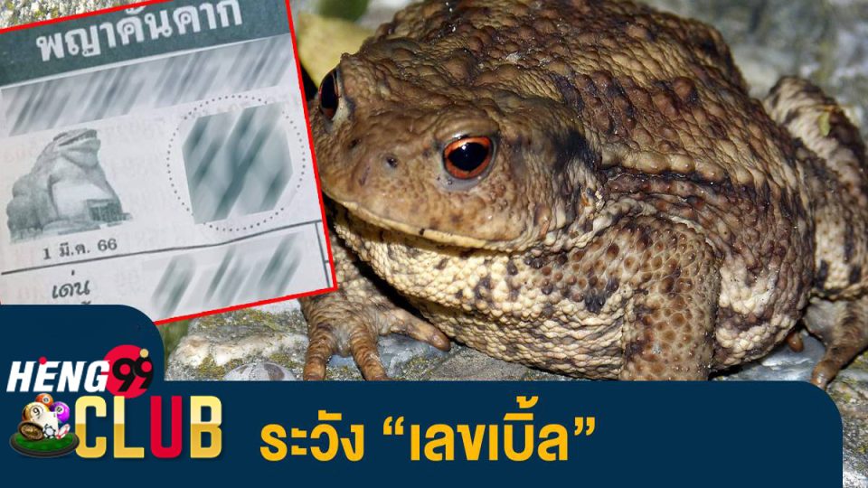 เลขพญาคันคาก