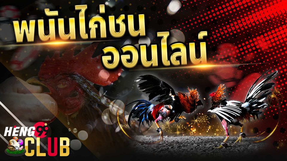 ดูไก่ชน