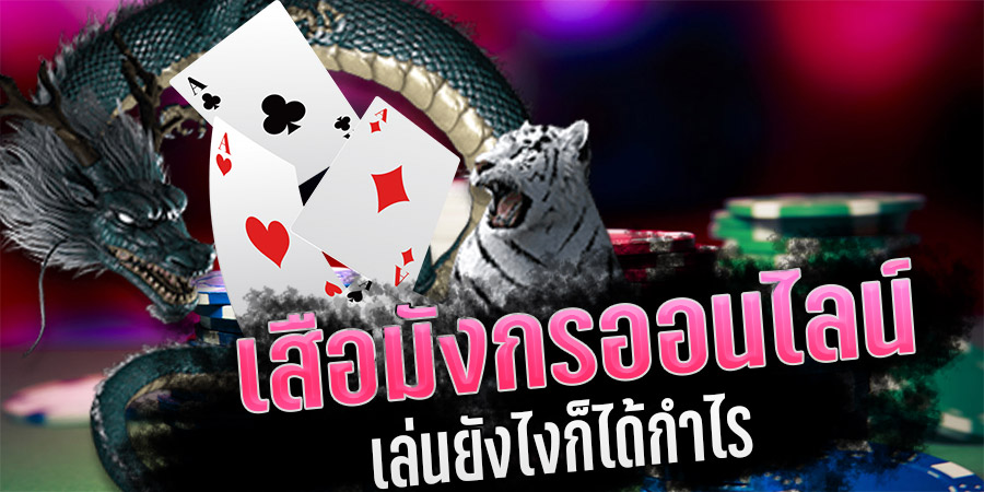  วิธีเล่นเสือมังกร ให้ได้เงิน 