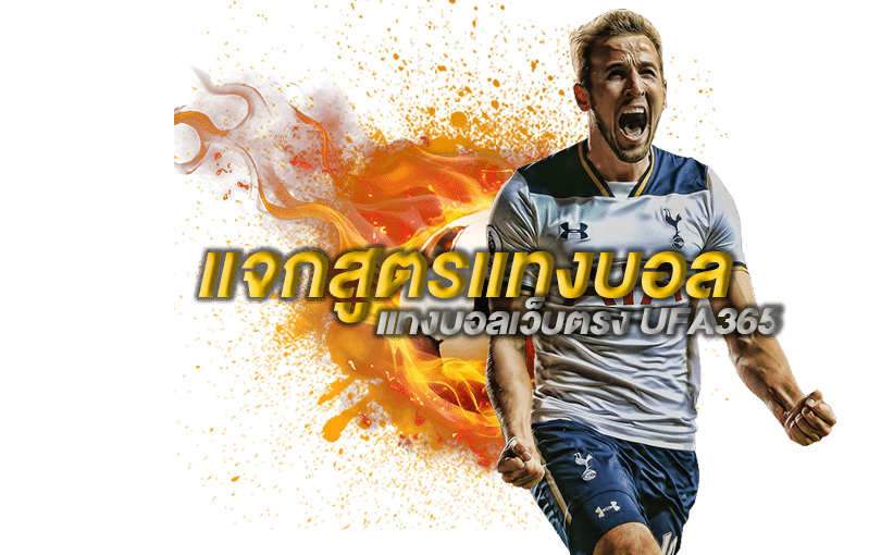  sbobet มือถือ android