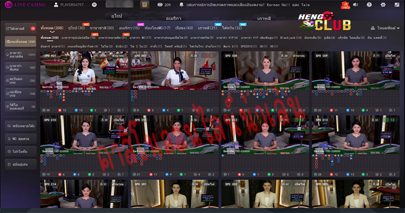DB Live Casino Best