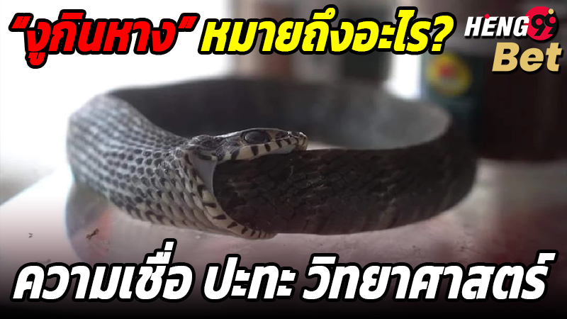 รูปภาพ ความเชื่อปะทะวิทยาศาสตร์ ของ heng99