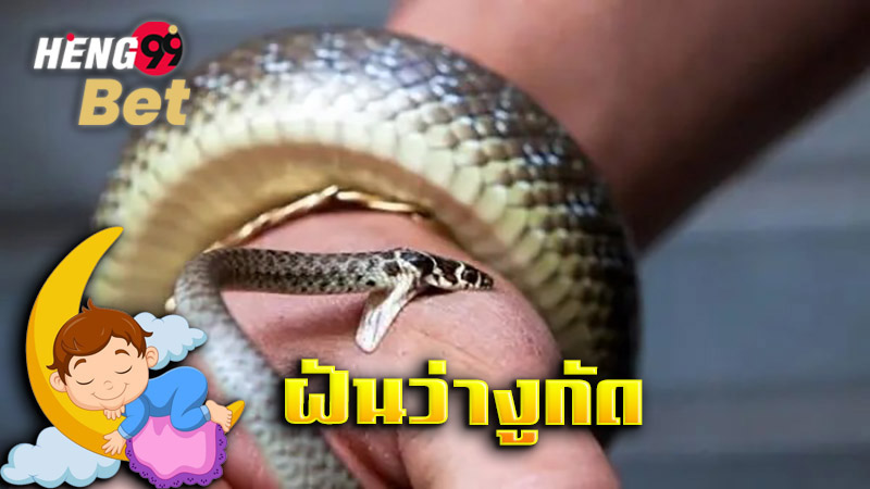 รูปภาพฝันว่างูกัดของ heng99
