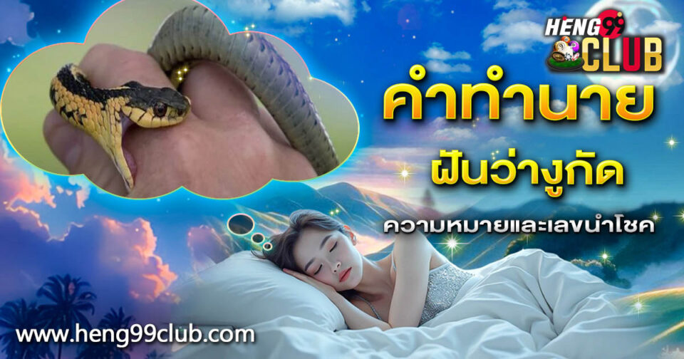ฝันว่างูกัด - "lottery"