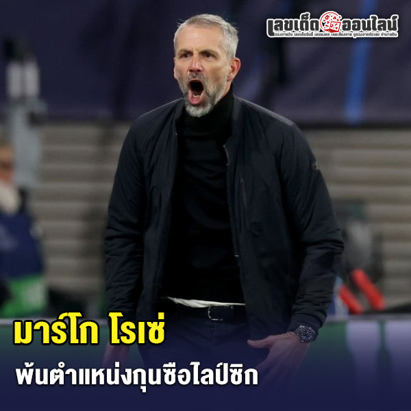 รูปภาพ มาร์โก โรเซ่ ของ lekdedonline