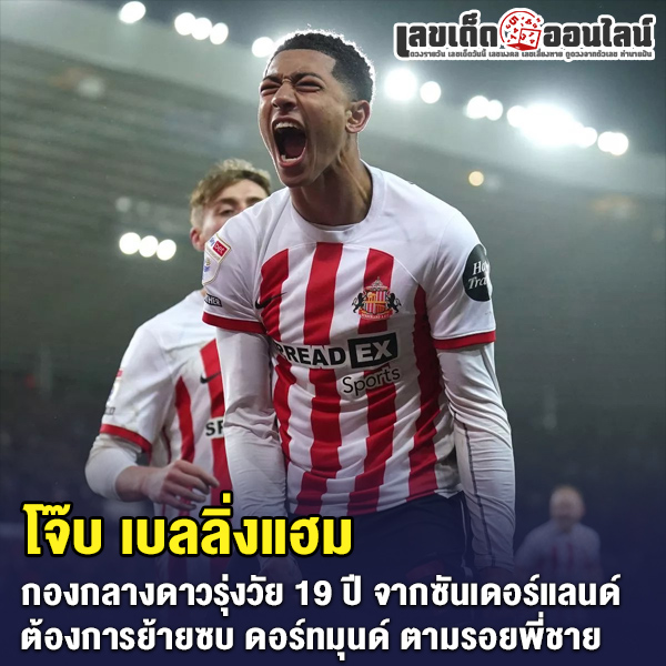 รูปภาพ โจ๊บ เบลลิ่งแฮม กองกลางดาวรุ่งซันเดอร์แลนด์ของ lekdedonline