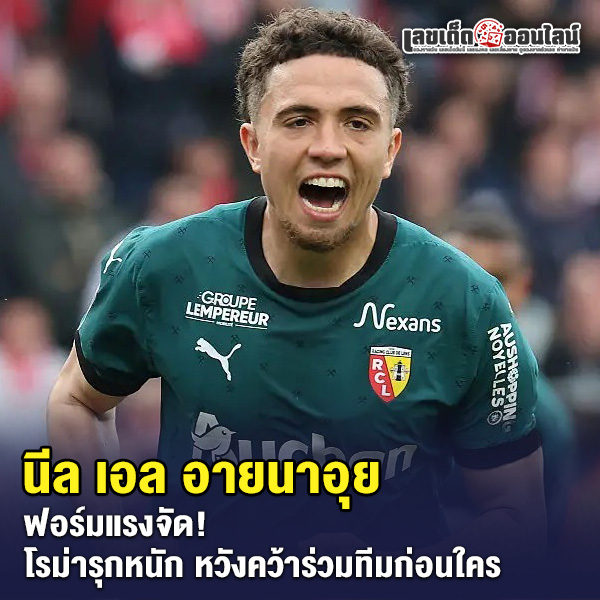 รูปภาพ นีล เอล อายนาอุย ของ lekdedonline