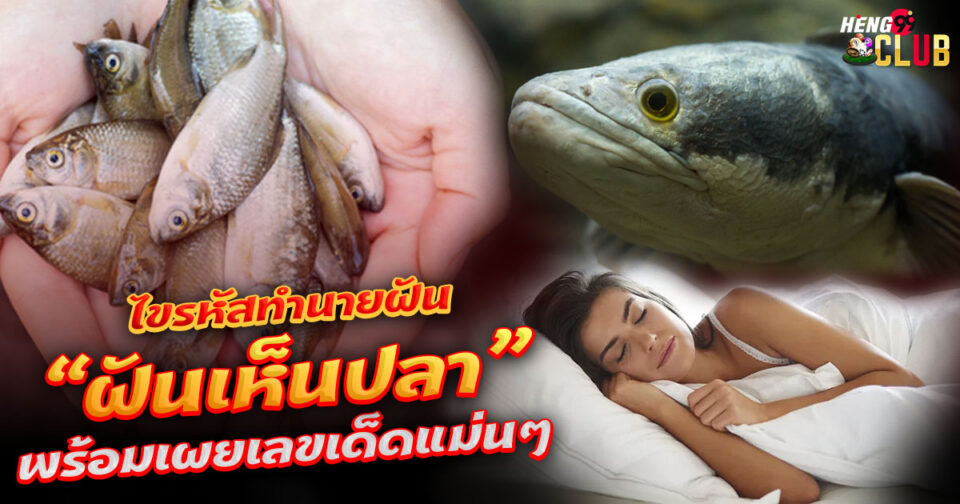 ทำนายฝัน ปลาเลขเด็ด -"Dream interpretation Lucky fish numbers"