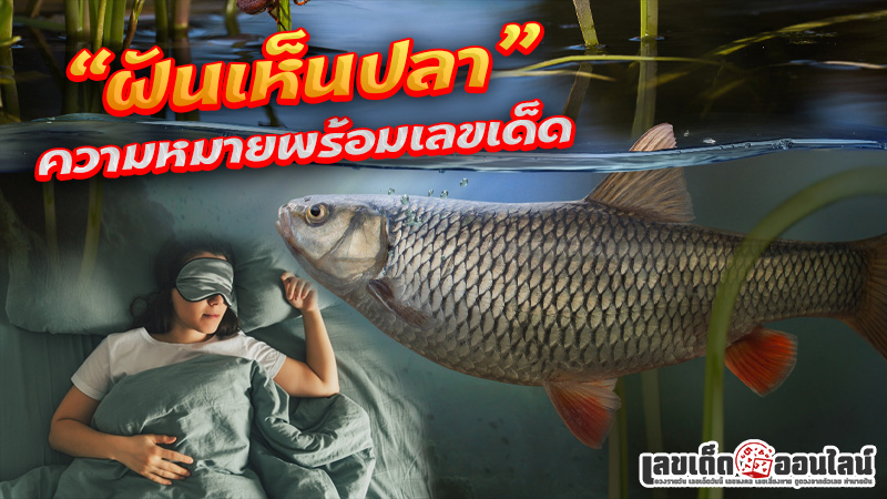 รูปภาพฝันเห็นปลาความหมายพร้อมเลขเด็ดของ lekdedonline