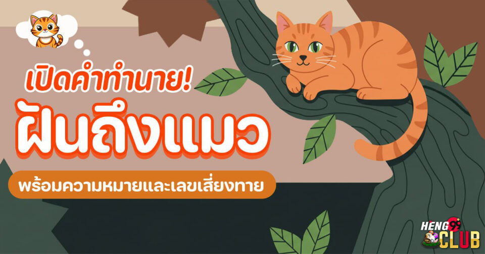 ทำนายฝัน ฝันถึงแมว -"Dream interpretation Dreaming of a cat"
