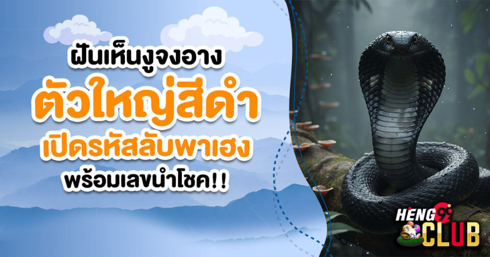 ฝันเห็นงูจงอางตัวใหญ่สีดํา -"LOTTO"